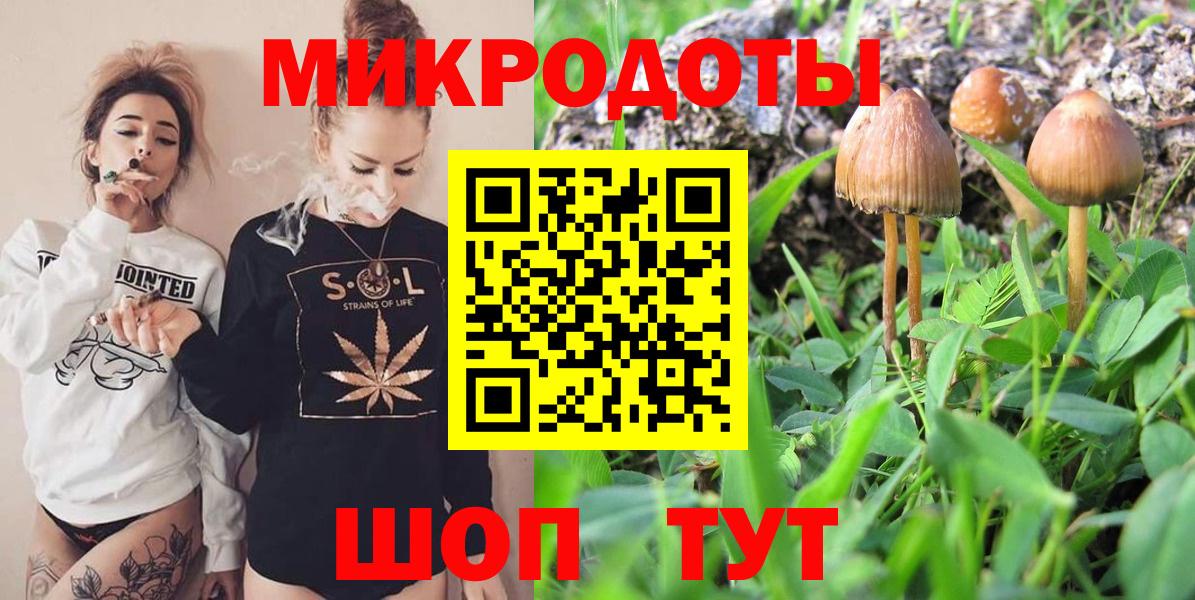 Галлюциногенные грибы GOLDEN TEACHER Саров