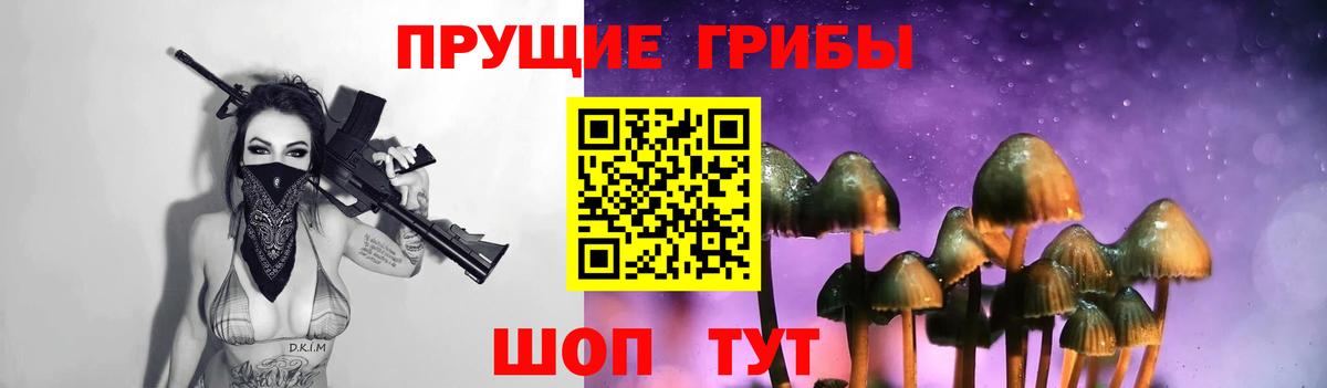 Галлюциногенные грибы GOLDEN TEACHER  Вход с VPN  Саров 